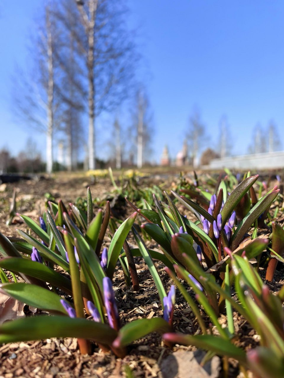 А что у вас? (дубль 6) А что у вас? (дубль 6)