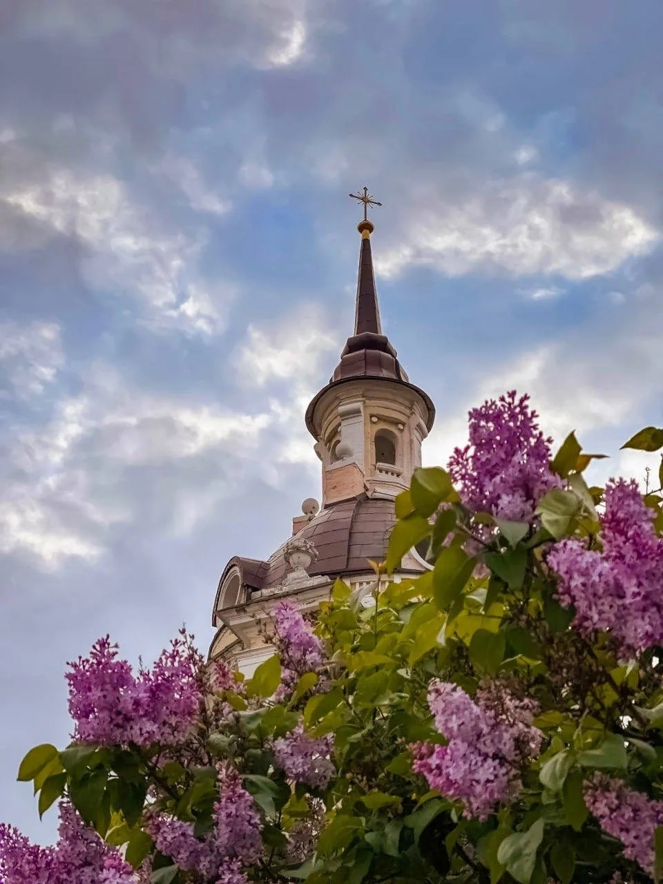 А что у вас? (дубль 6) А что у вас? (дубль 6)