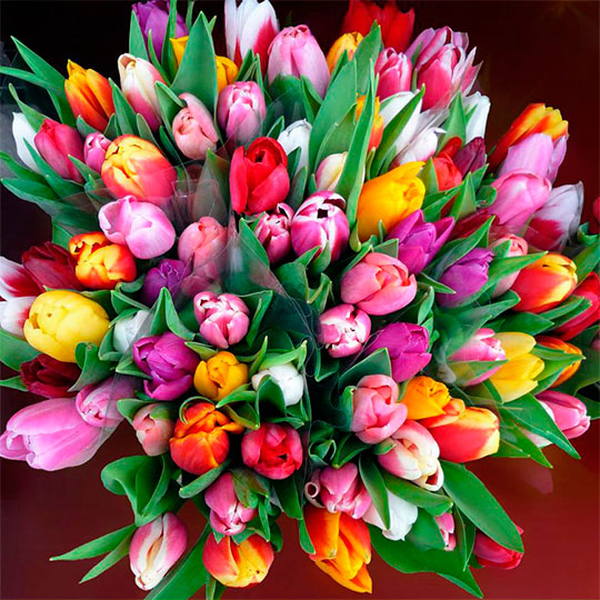 � ��� � ���? (����� 6)