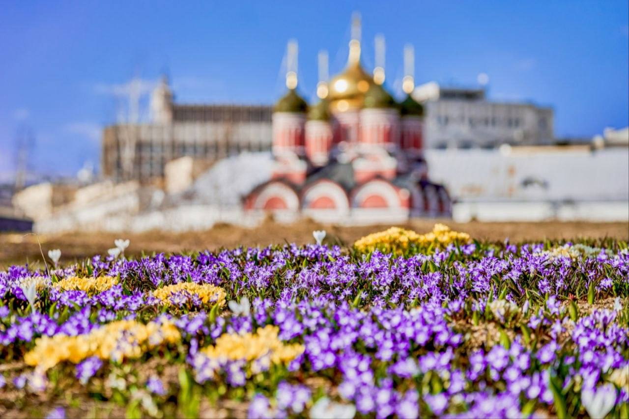 � ��� � ���? (����� 6)