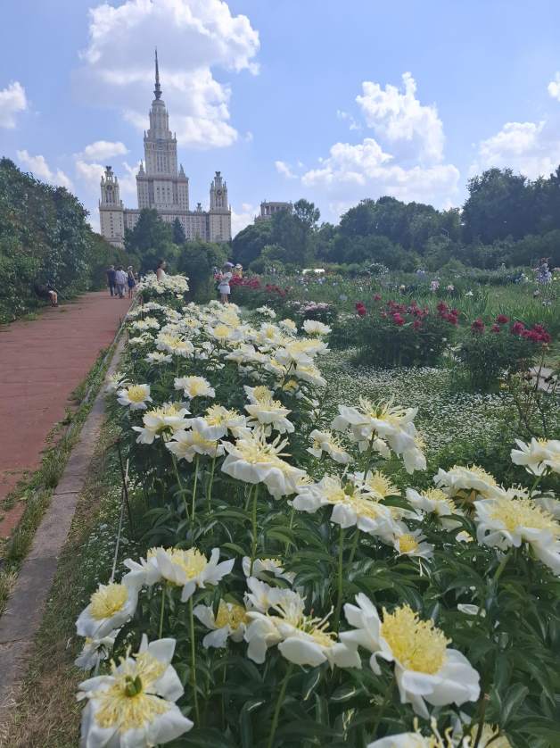 А что у вас? (дубль 6) А что у вас? (дубль 6)
