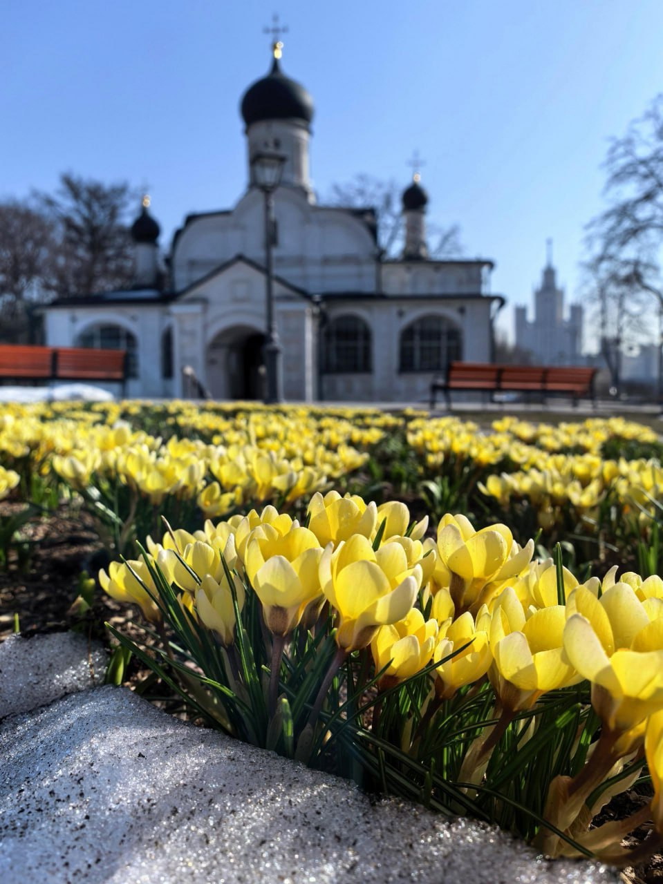 А что у вас? (дубль 6) А что у вас? (дубль 6)