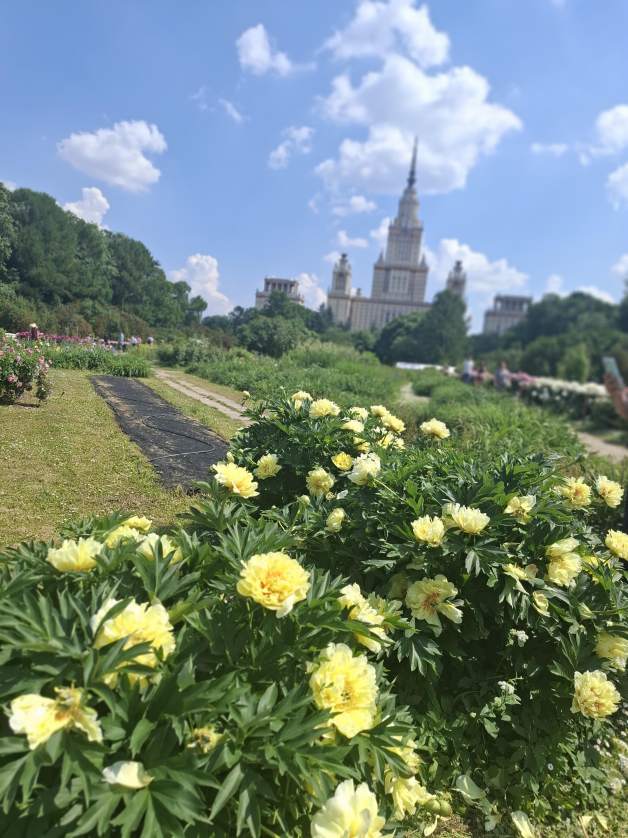 А что у вас? (дубль 6) А что у вас? (дубль 6)