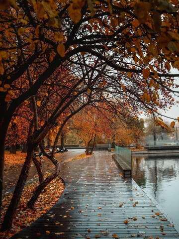 А что у вас? (дубль 6) А что у вас? (дубль 6)