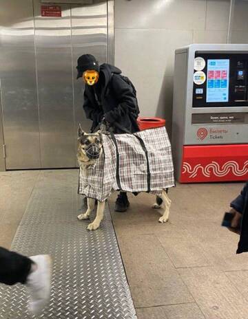 Модники и модницы московского метро Модники и модницы московского метро