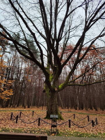 А что у вас? (дубль 6) А что у вас? (дубль 6)