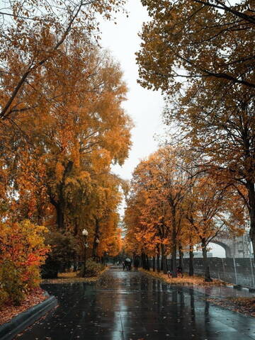 А что у вас? (дубль 6) А что у вас? (дубль 6)