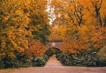 А что у вас? (дубль 6) А что у вас? (дубль 6)