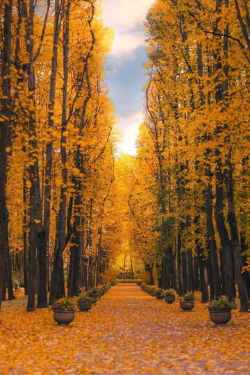 А что у вас? (дубль 6) А что у вас? (дубль 6)