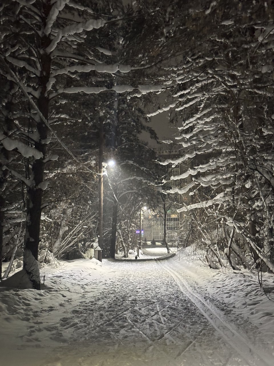 � ��� � ���? (����� 6)