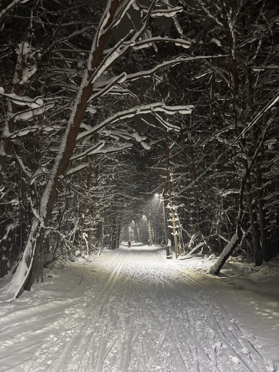 � ��� � ���? (����� 6)