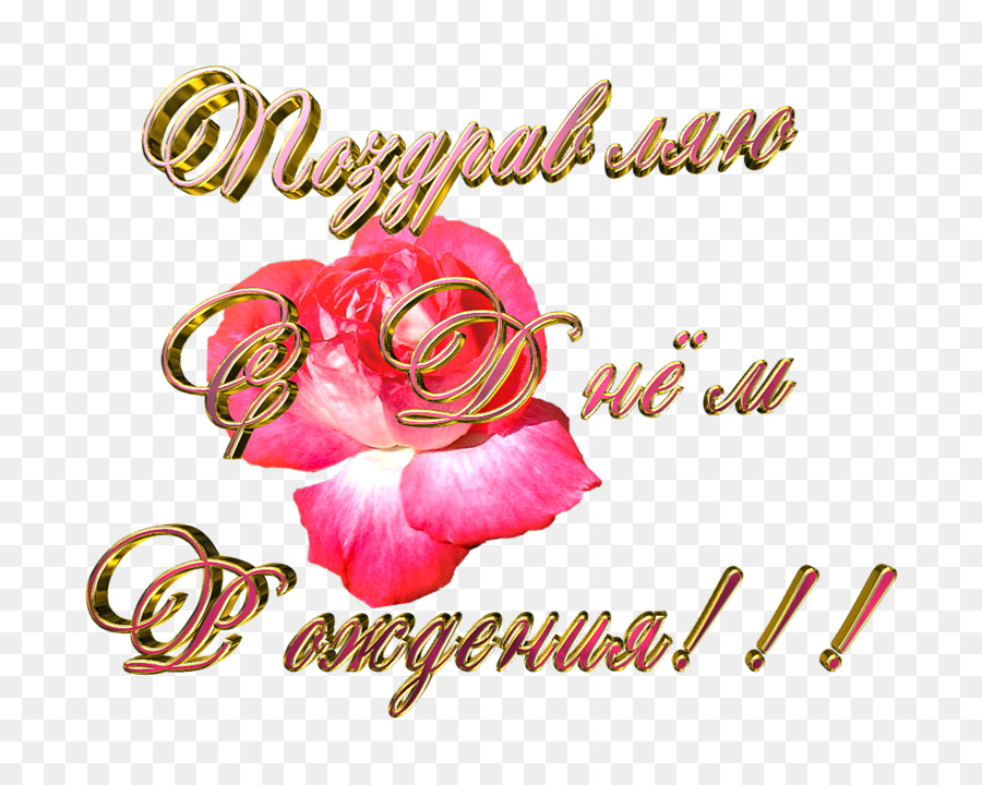 Рин, С Днюшкой!