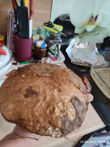    ? ( 6)