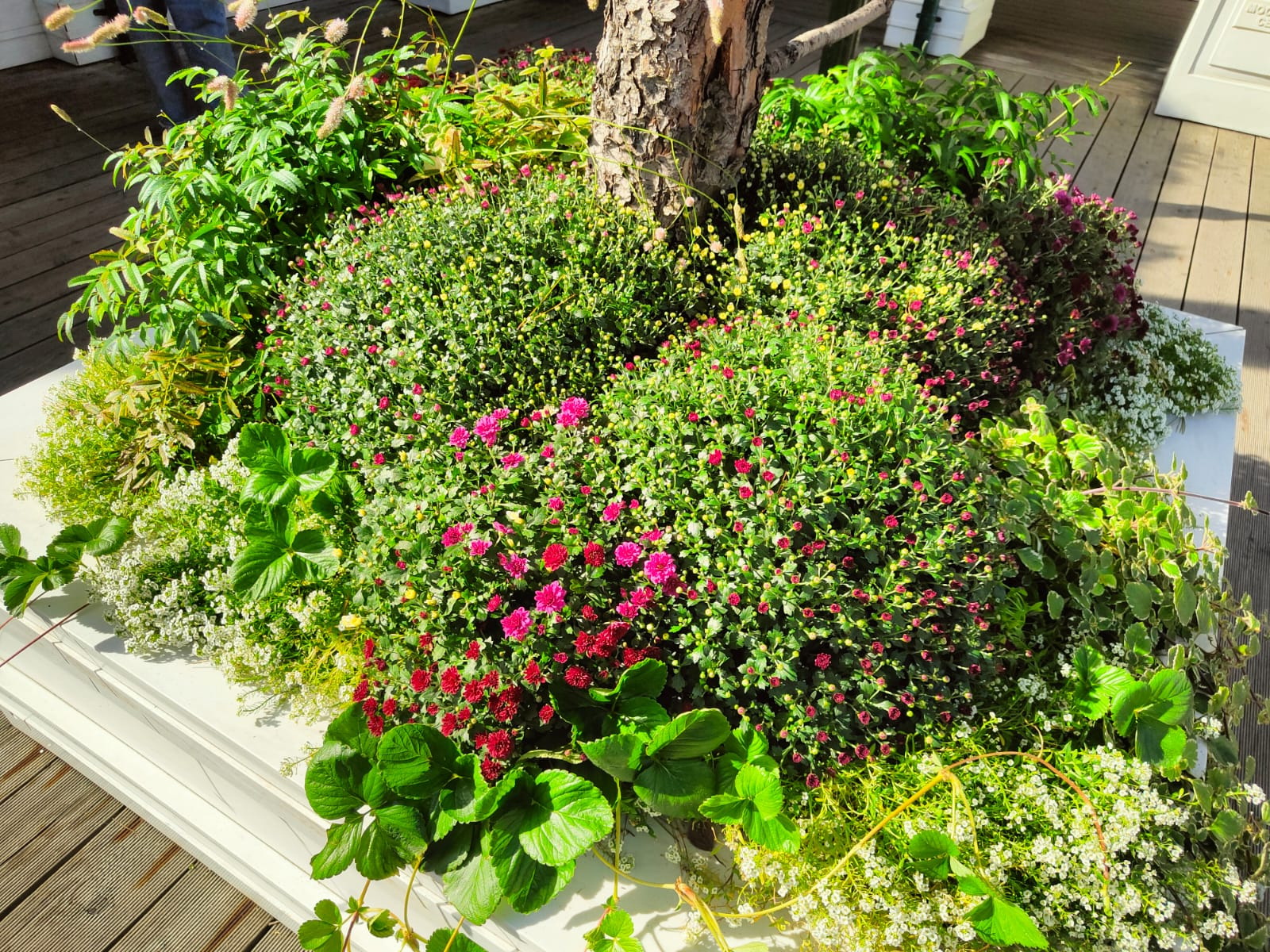 А что у вас? (дубль 6) А что у вас? (дубль 6)