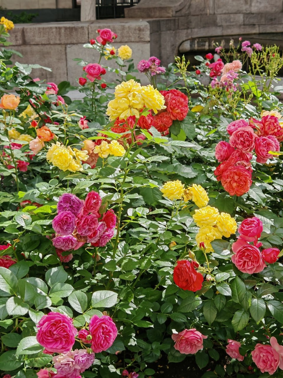 А что у вас? (дубль 6) А что у вас? (дубль 6)