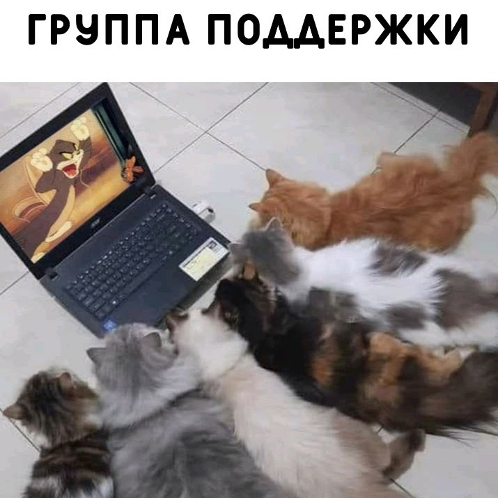 Чисто поржать...