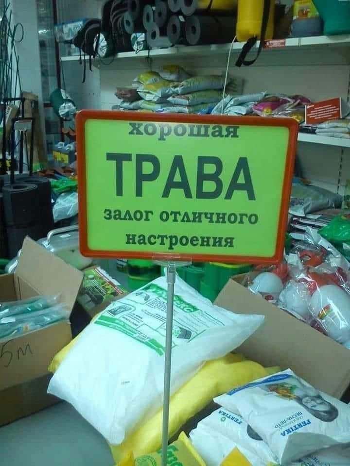 Чисто поржать...
