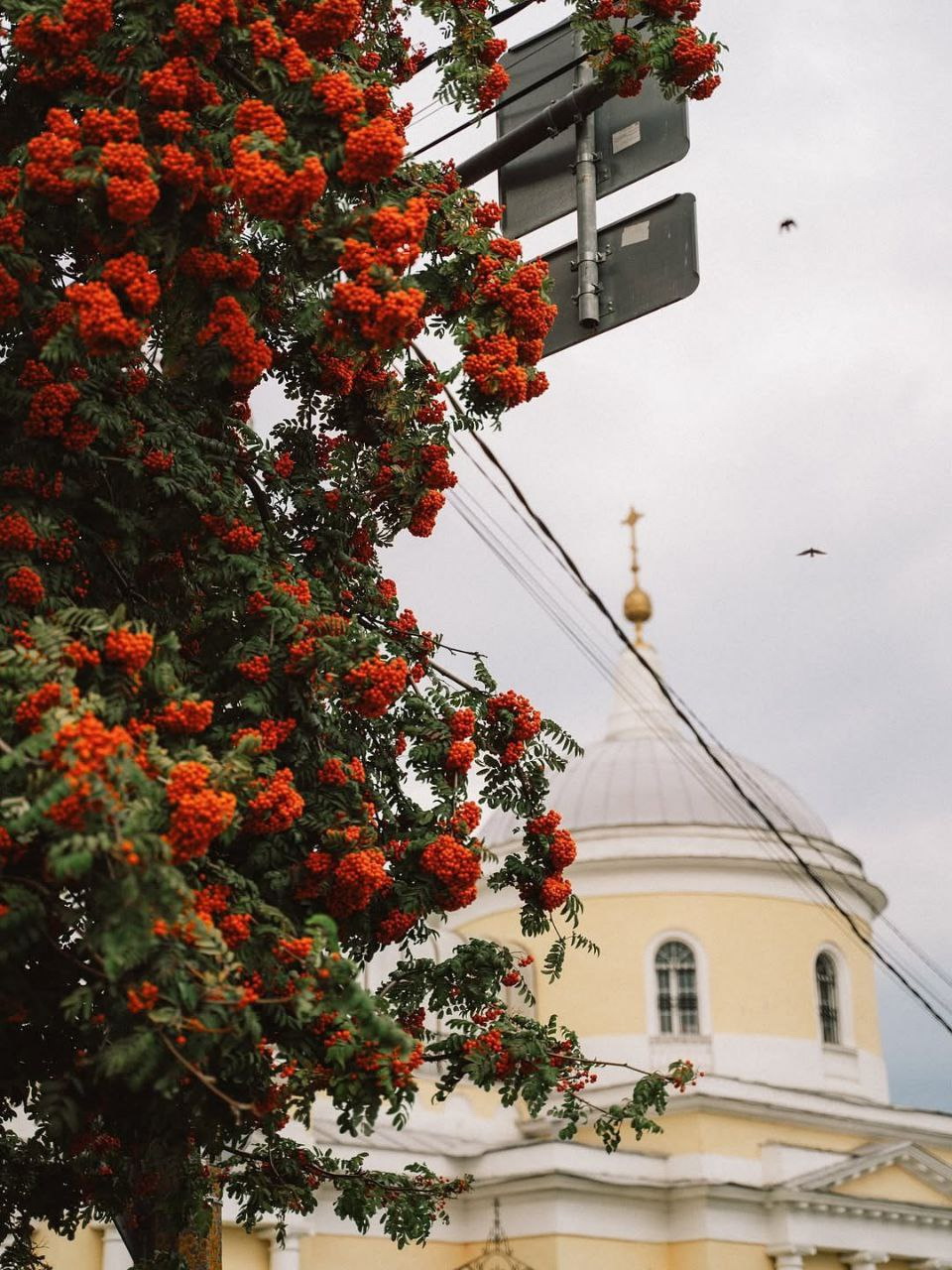 А что у вас? (дубль 6) А что у вас? (дубль 6)