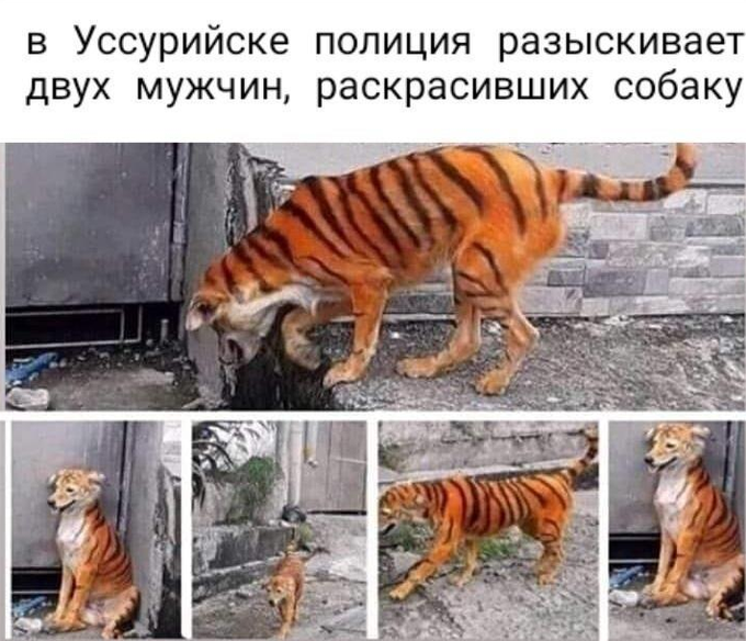 Чисто поржать...