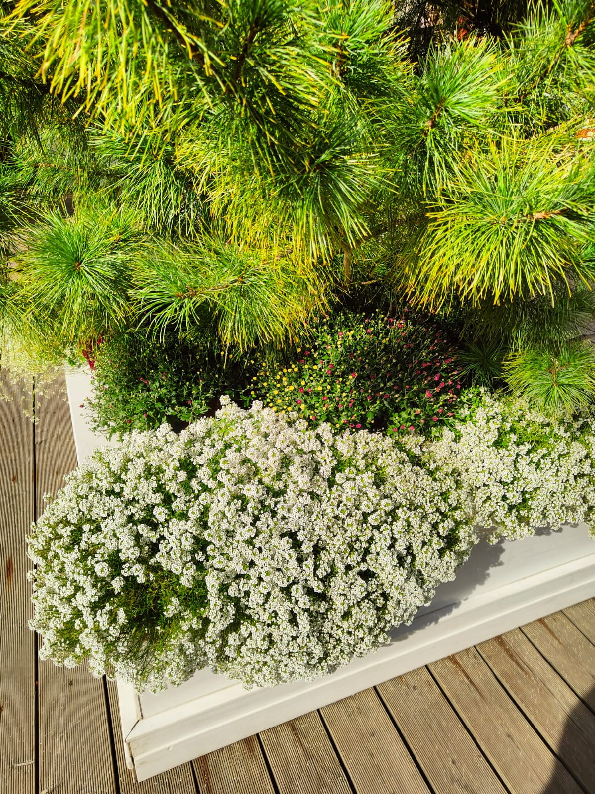 А что у вас? (дубль 6) А что у вас? (дубль 6)