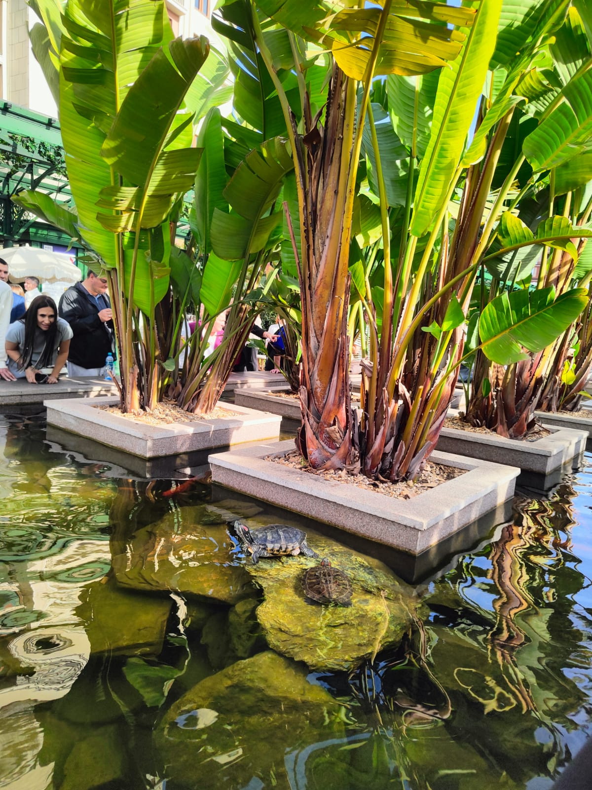 А что у вас? (дубль 6) А что у вас? (дубль 6)