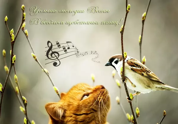 https://upforme.ru/uploads/0016/5f/70/5/t226739.webp