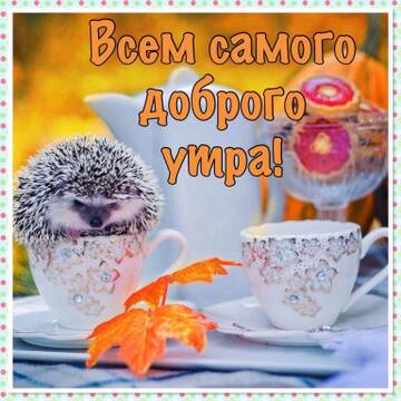 https://upforme.ru/uploads/0016/5f/70/5/t719721.jpg