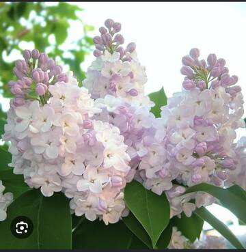 https://upforme.ru/uploads/0016/5f/70/5/t816246.jpg