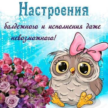 https://upforme.ru/uploads/0016/5f/70/61/t348304.jpg