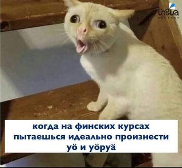https://upforme.ru/uploads/0016/76/a2/6/t799382.jpg