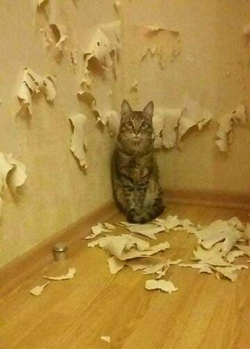 https://upforme.ru/uploads/0016/76/a2/6/t955210.jpg