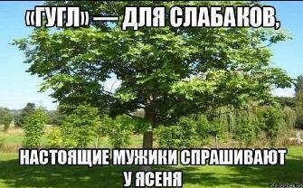 https://upforme.ru/uploads/0016/76/a2/85/t860149.jpg