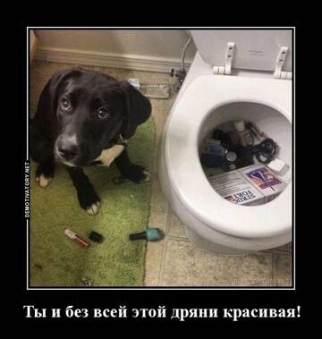 https://upforme.ru/uploads/0016/c4/68/48/t165636.jpg