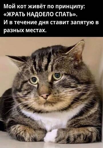 https://upforme.ru/uploads/0016/c4/68/48/t761500.jpg