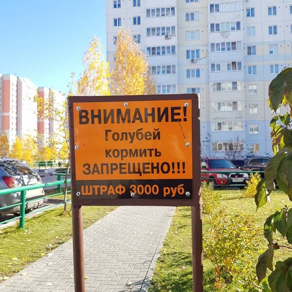 https://upforme.ru/uploads/0016/e4/0c/26/t72237.jpg