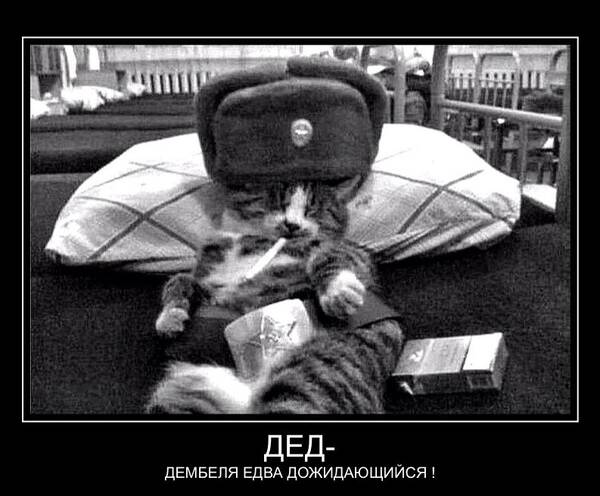 https://upforme.ru/uploads/0016/e4/0c/3/t620588.jpg