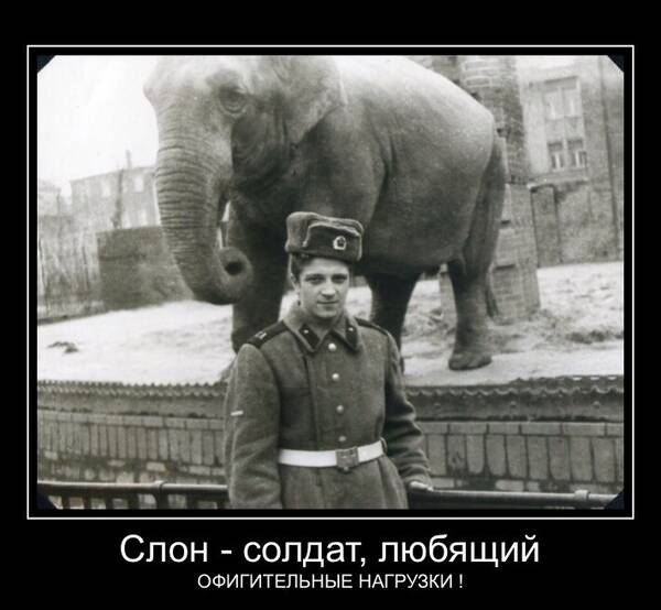 https://upforme.ru/uploads/0016/e4/0c/3/t796510.jpg