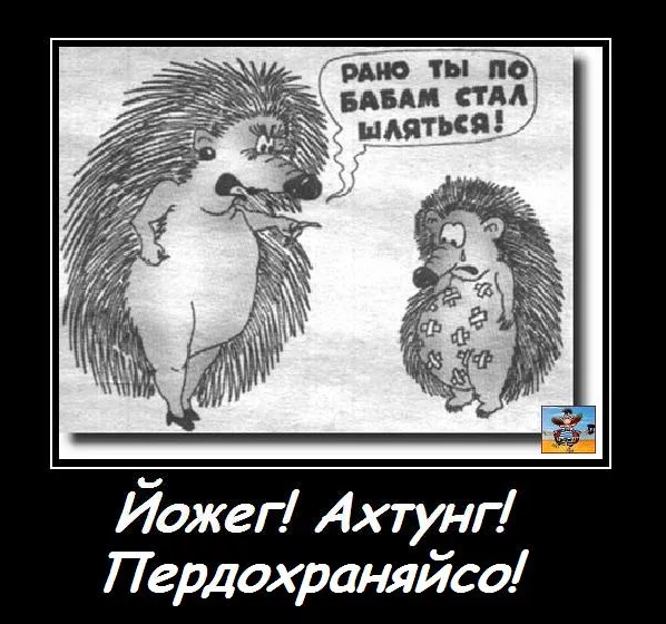 https://upforme.ru/uploads/0016/ef/6f/2/t329398.png