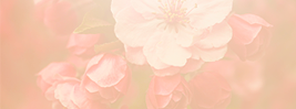 https://upforme.ru/uploads/0017/24/ab/2/461375.png