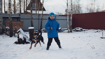 Аума - энтлебухер зенненхунд Аума - энтлебухер зенненхунд
