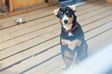 ���� - ���������� ����������