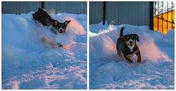 ���� - ���������� ����������