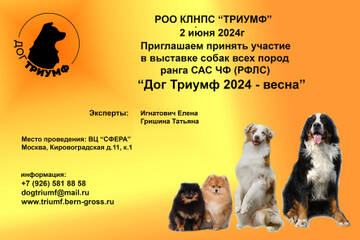  2  2024.   &quot;  2024-&quot;