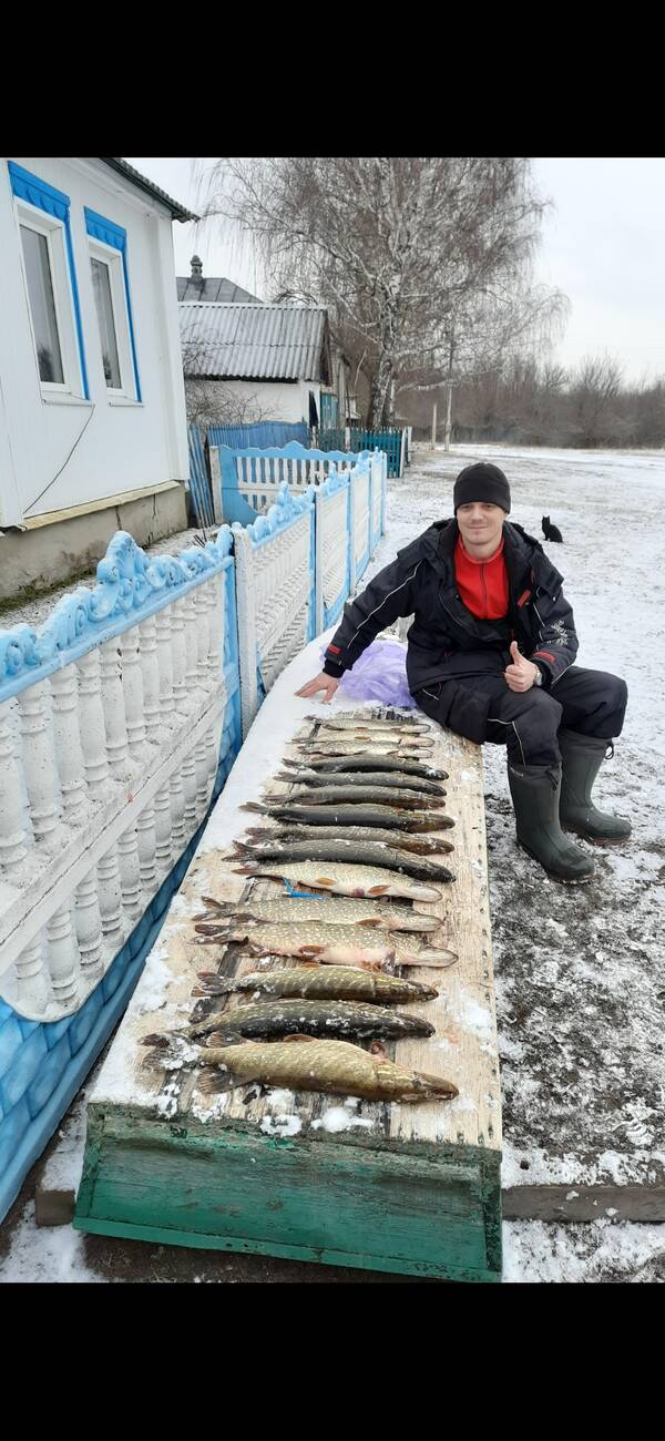 https://upforme.ru/uploads/0017/28/55/103/t547648.jpg
