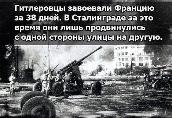 https://upforme.ru/uploads/0017/28/55/103/t570997.jpg