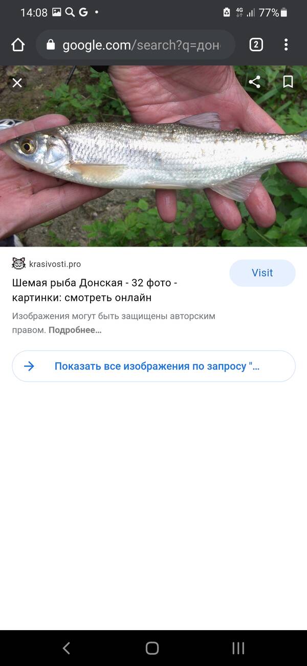 https://upforme.ru/uploads/0017/28/55/103/t827515.jpg