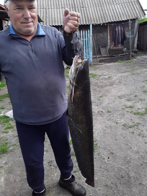 https://upforme.ru/uploads/0017/28/55/103/t850145.jpg