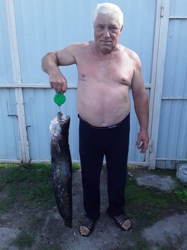 https://upforme.ru/uploads/0017/28/55/103/t915470.jpg