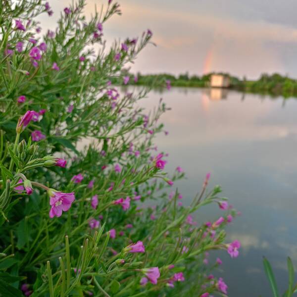 https://upforme.ru/uploads/0017/28/55/1114/t644941.jpg