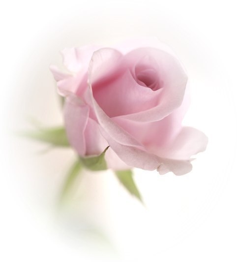 https://upforme.ru/uploads/0017/28/55/1114/t66716.jpg